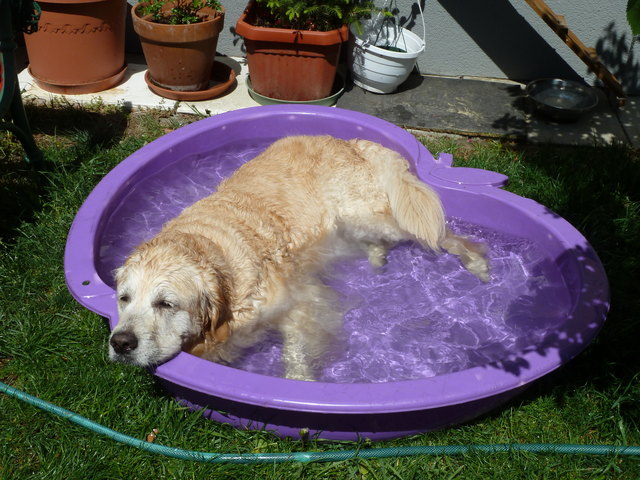 endlich mal relaxen bei dieser Affenhitze