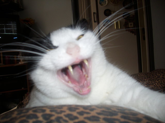 war auch n guter witz