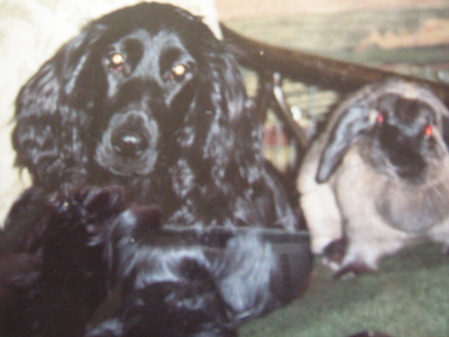 2 die sich lieb haben