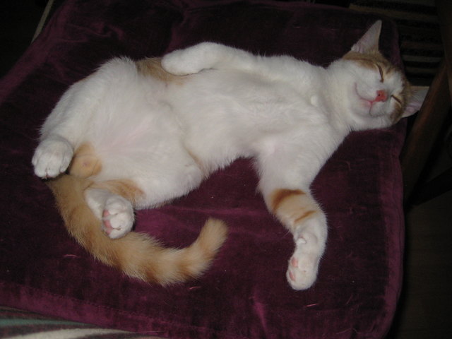 immer Lächeln auf den Lippen ...