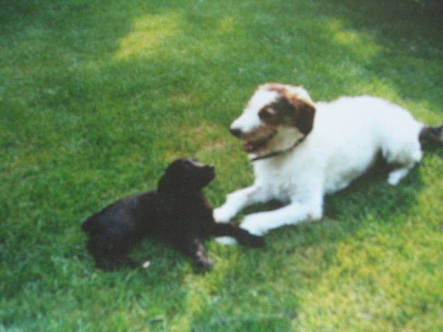 Naomis bester Freund