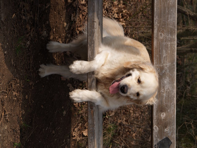 Irgendwie komm´ich jetzt nicht weiter, wie war das doch gleich?