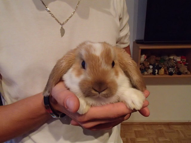 Unser Shootingstar :)