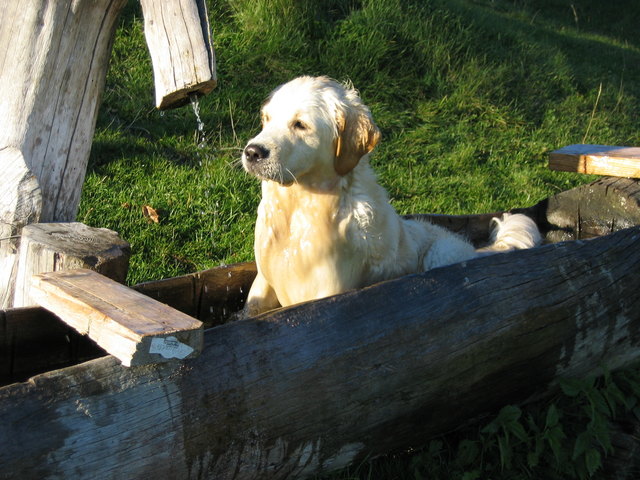 Nur Trinken - ich nehm doch lieber gleich ein Vollbad - erfrischt besser