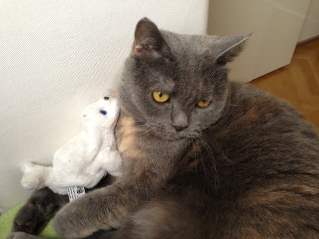 Niki & ihr bester Freund