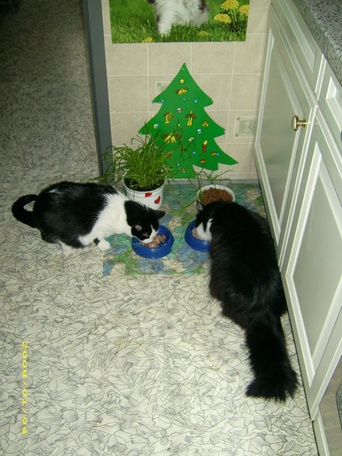 unser weihnachtsschmaus