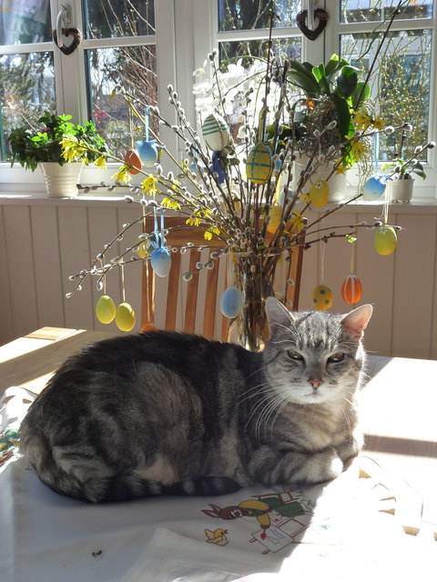 Unser Herr Toperzer!