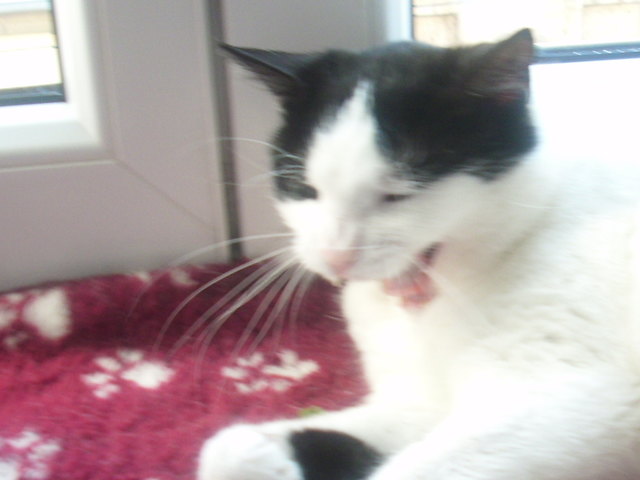 das war n guter witz