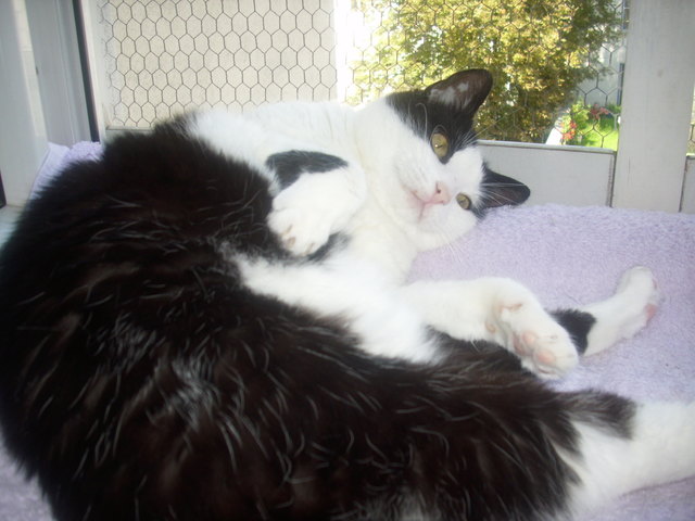 ich fühl mich sooo wohl