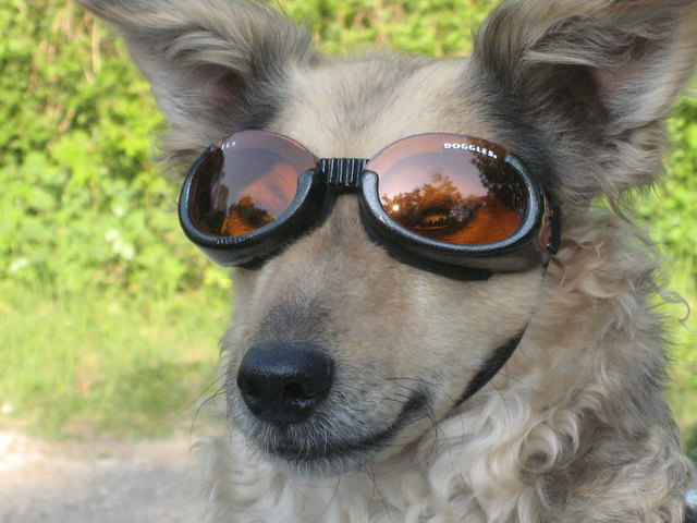 wann kommt endlich der Frühling, ich will mein Bike auspacken...