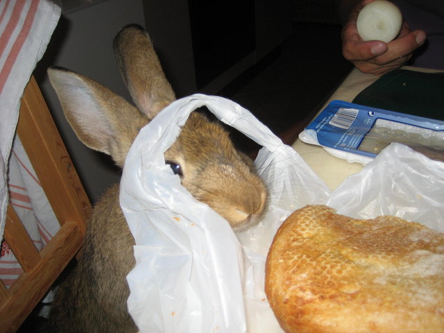 Integration auch für mich!