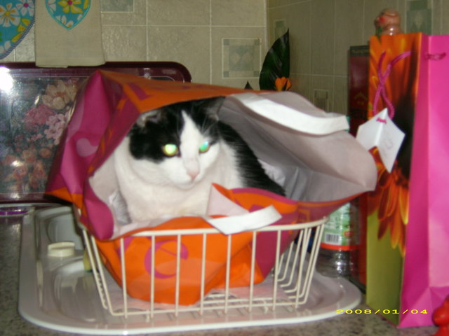 da findet mich keiner