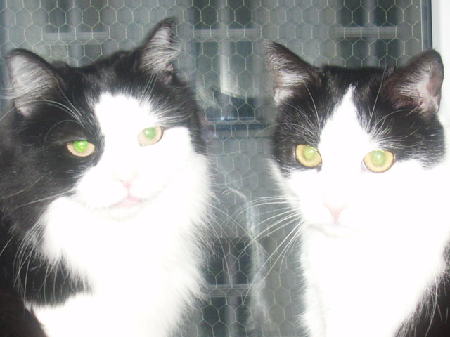 sind wir nicht süß