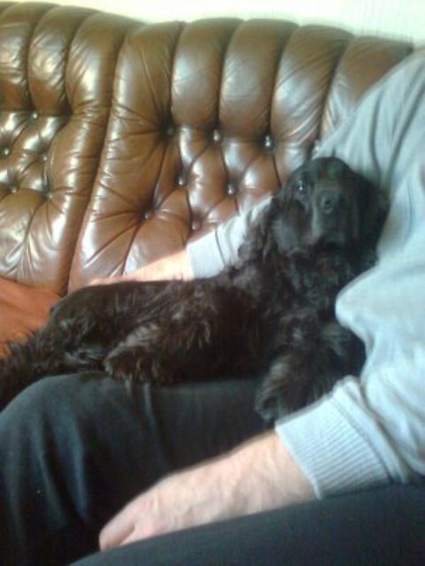 ein Bäuchlein zum anlehnen