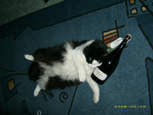 das war ein tröpferl