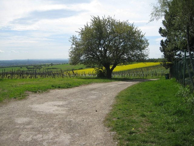 Laaerberg - in den Feldern unter der Radiostation