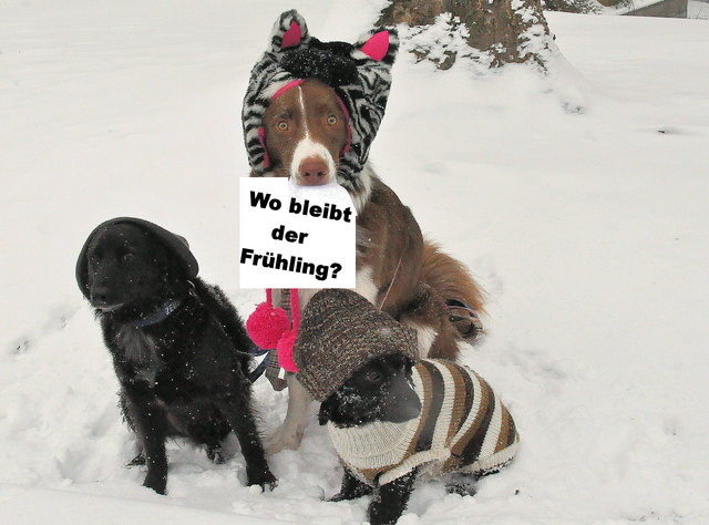 Wo bleibt der Frühling? Innere Stadt