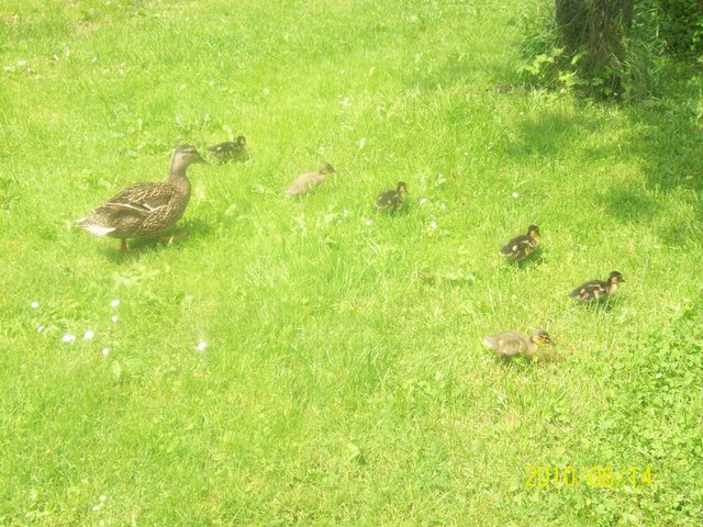 ausflug mit der Familie