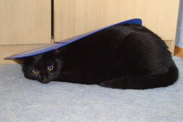 Ein todsicheres Versteck!