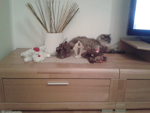 Minky