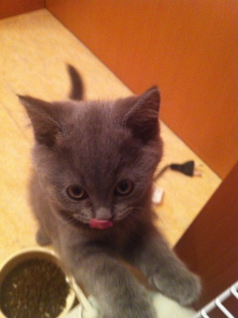 Hallo ich bin Merlin