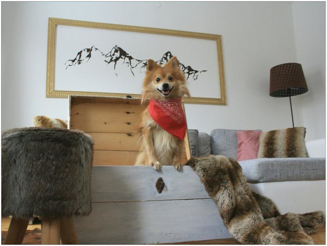 Ein Naturtalent im Posen :)