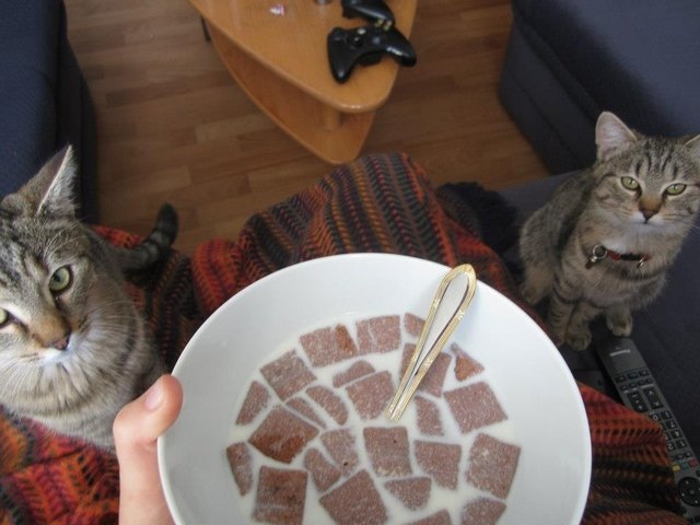 Gemütliches Frühstück ;)