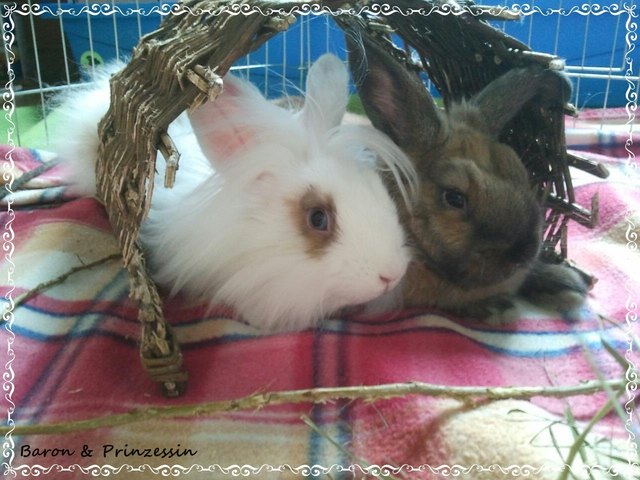 Baron und Prinzessin