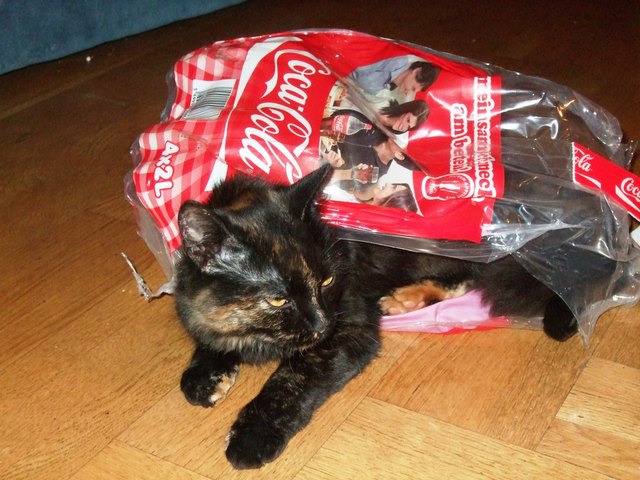 Demsey`s Geschmack!