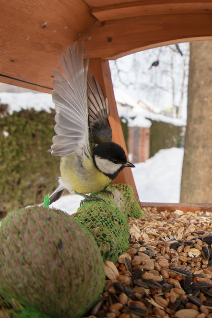 Kein Frühling in Sicht
