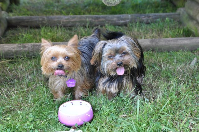 Mimmie und Lollie