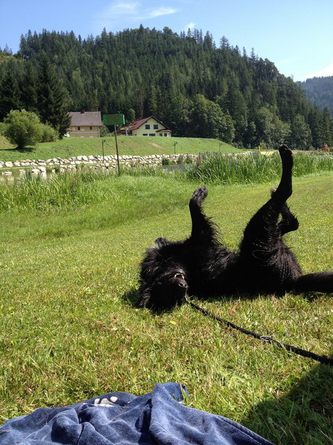 Ich freu mich schon auf den Sommer! Das wird wieder a Gaude ;-)