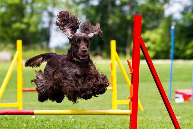 i believe i can fly