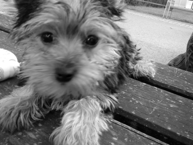 Mimmie noch gaaannnzz jung!!