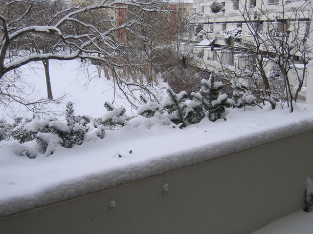 aufgenommen am 27. März 2013 - ich hoffe sie erfrieren nicht