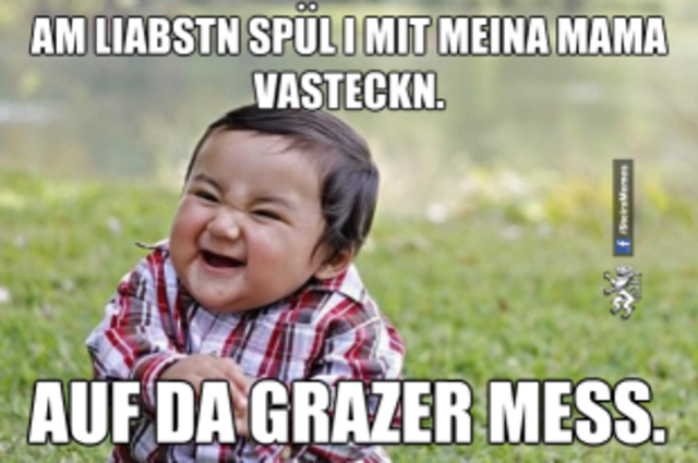 Made my day! 85.000 Facebook-User verfolgen die Aktivitäten der Facebook-Seite "Steira Memes san very good".