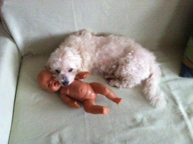 Bobby