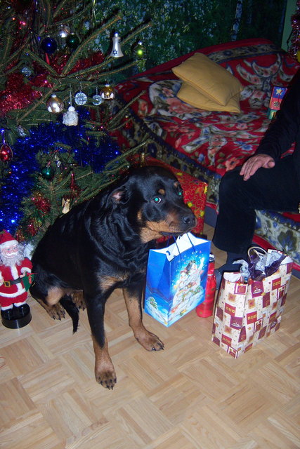 Endlich Weihnachten.
