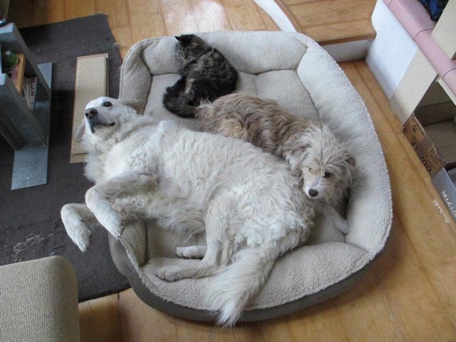 Meine Patchworkfamilie :-)