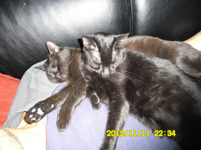 jakky , und bunti....