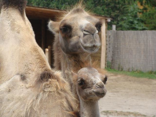 Vater & Sohn
