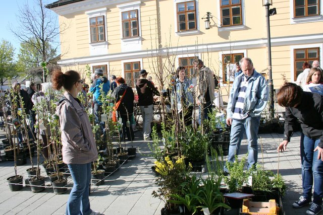 Am 6. April findet in Wolkersdorf der 11. Blumen- und Heckenmarkt statt.