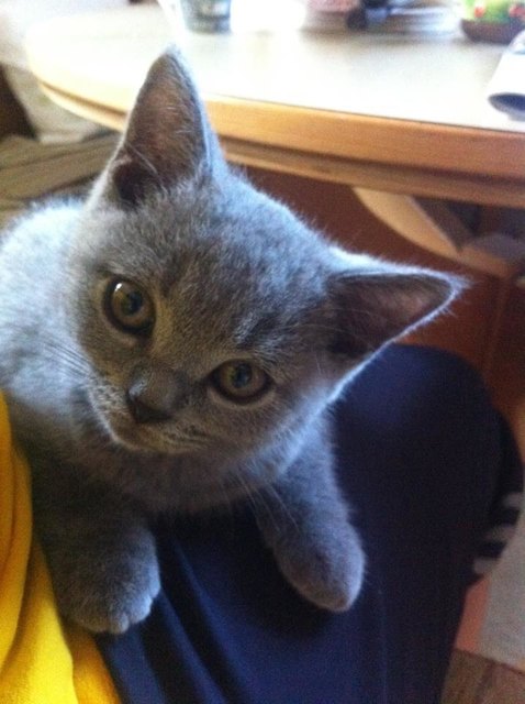 Charlie
