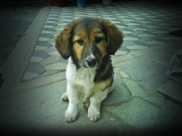 Cindy als Baby