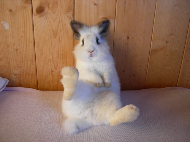 Ich bin der coolste :)