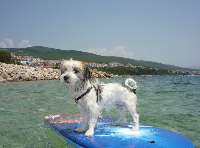 mein mani liebt das wasser und besonder´s in kroatien