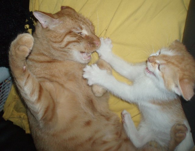 Mikey und Frodo - wir spielen ja nur ...