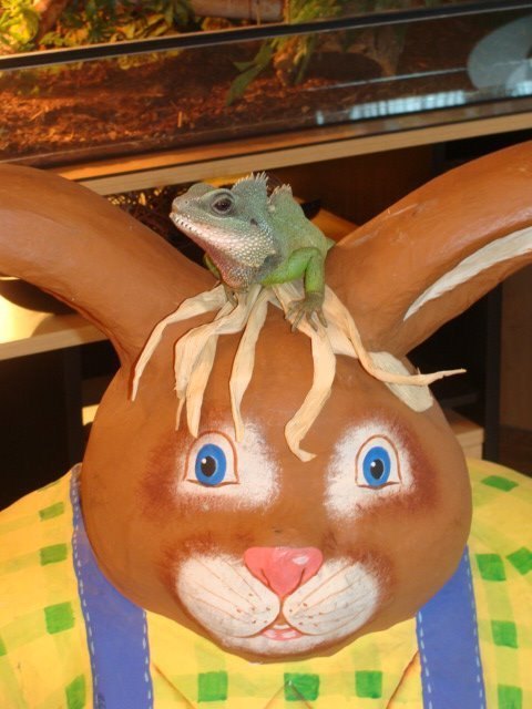 Unsere Diva verliebt in den Osterhasen...
