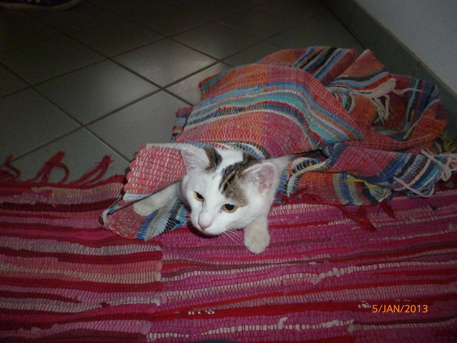 Moritz