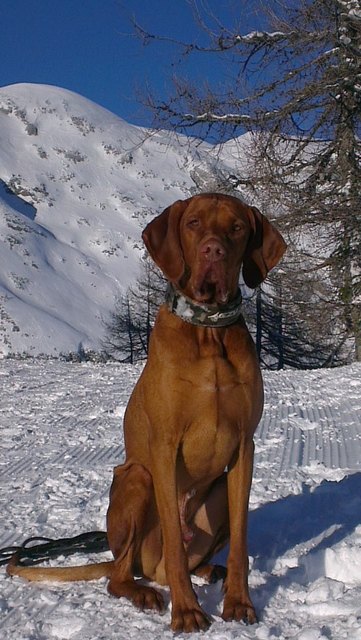 HASSO